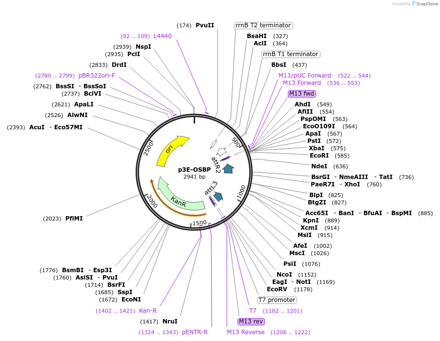 117202_map
