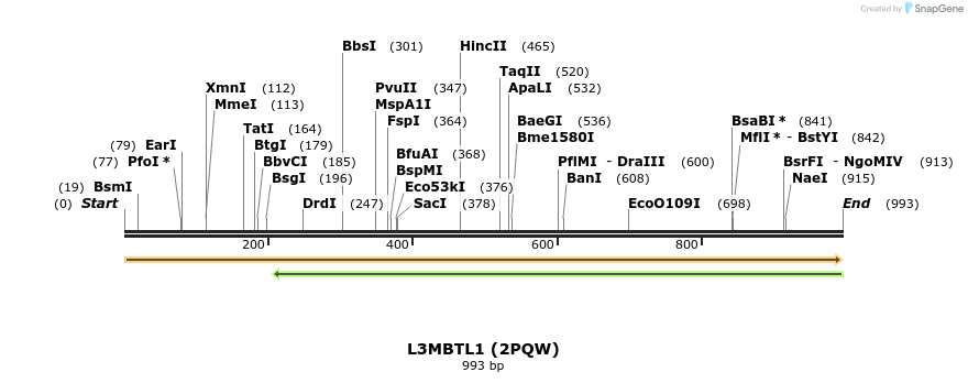 11721_map