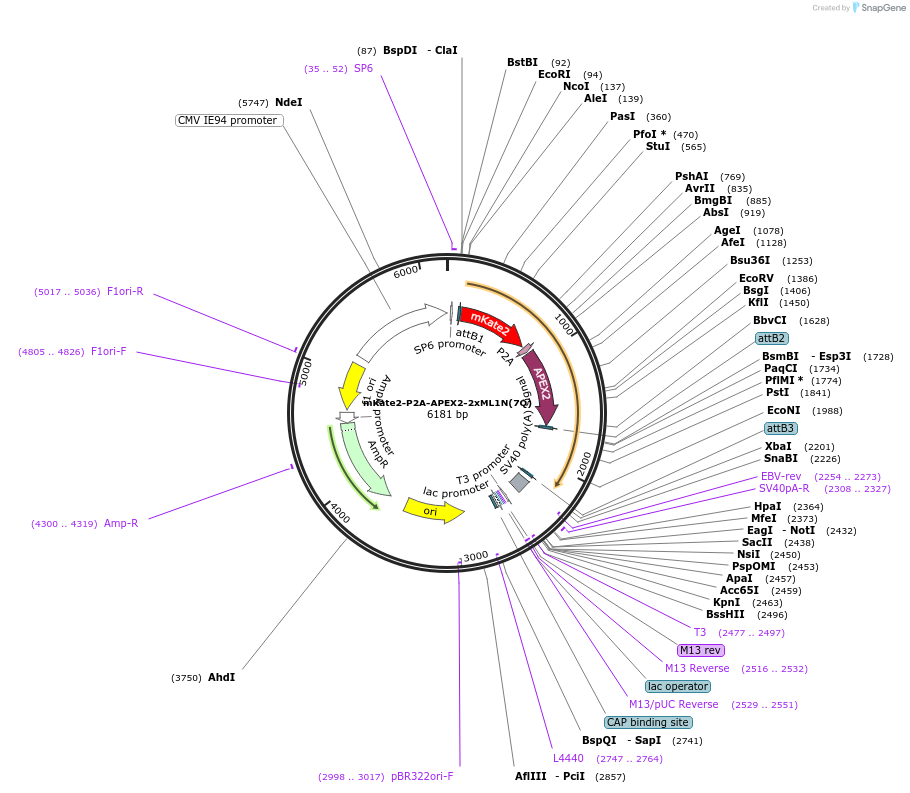 117215_map