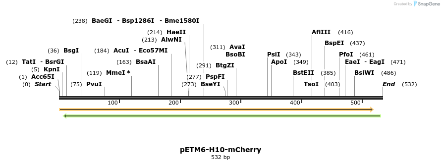 117219_map