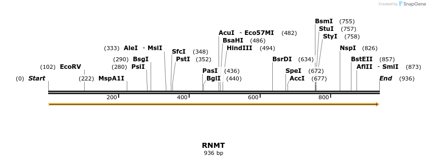 11722_map