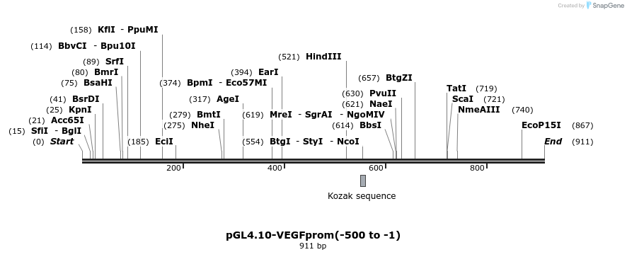 117220_map