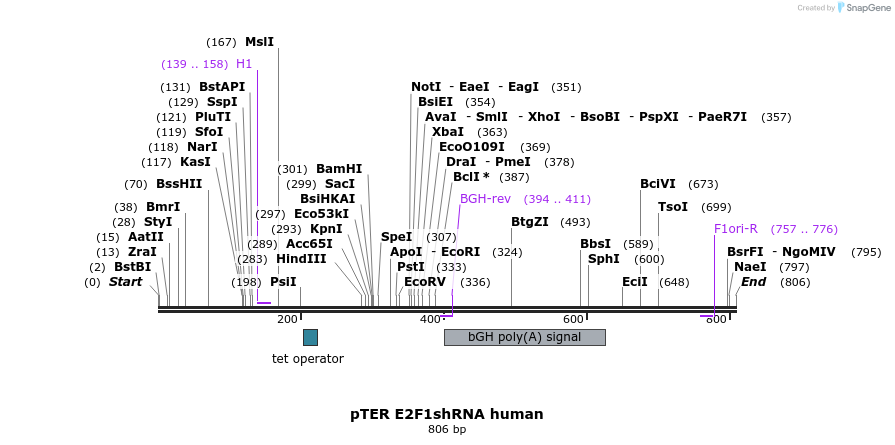 117223_map