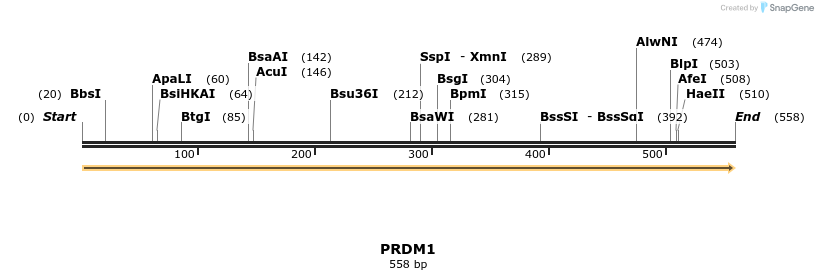 11723_map