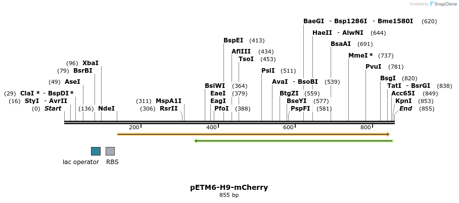 117230_map