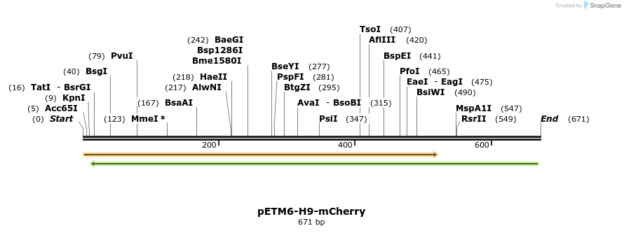 117234_map