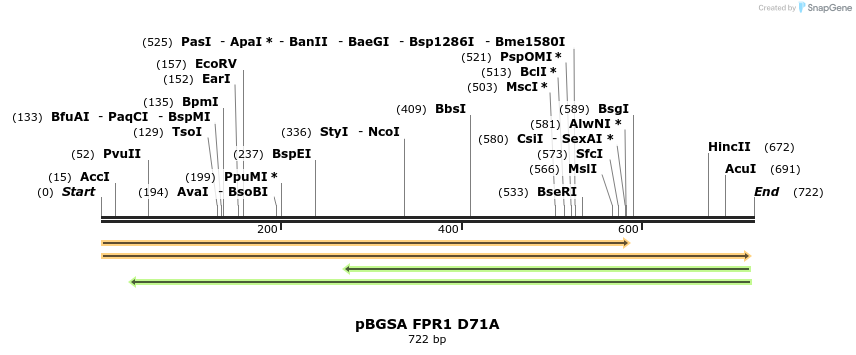 117241_map