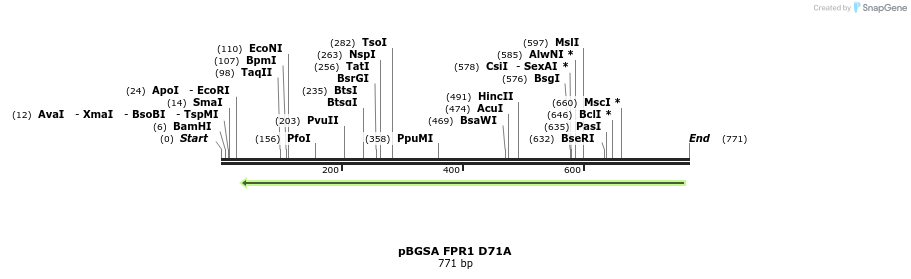 117242_map