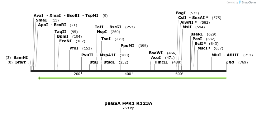 117244_map