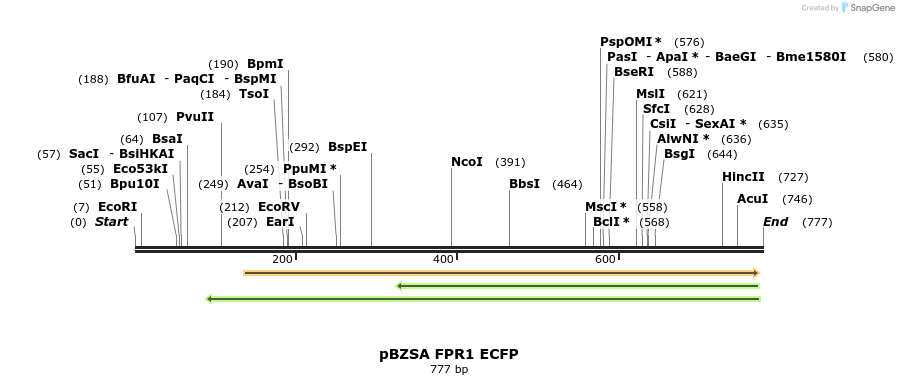 117245_map