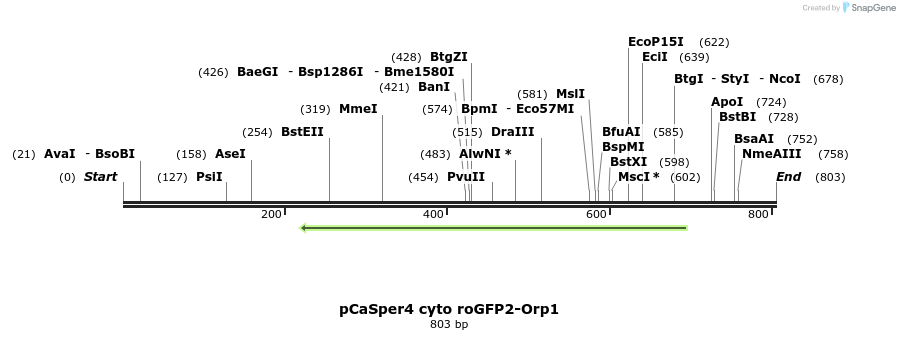 117247_map