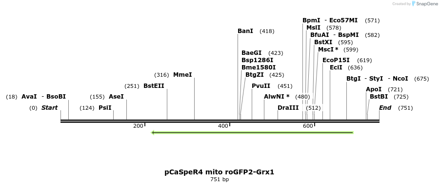 117249_map
