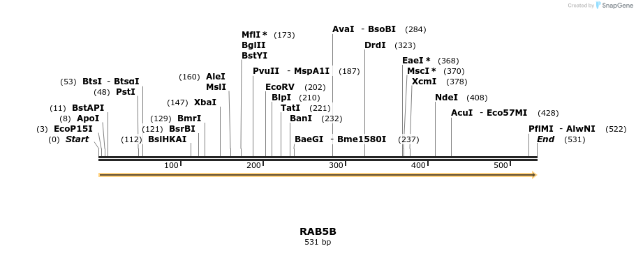 11725_map