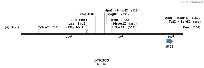 117251_map