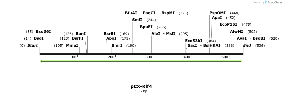 117255_map