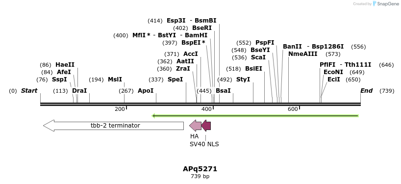 117256_map