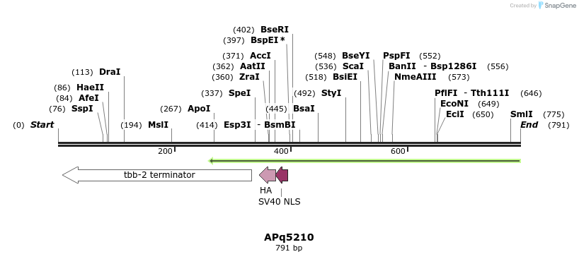 117258_map