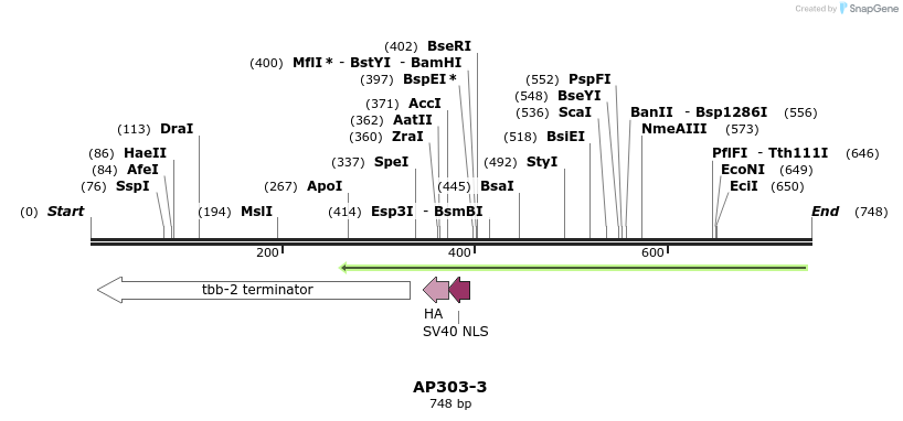 117259_map