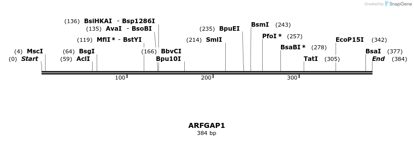 11726_map