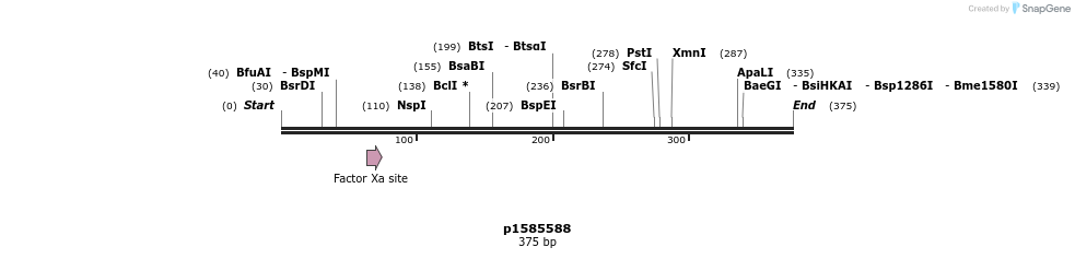 117261_map