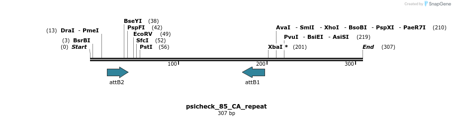 117262_map