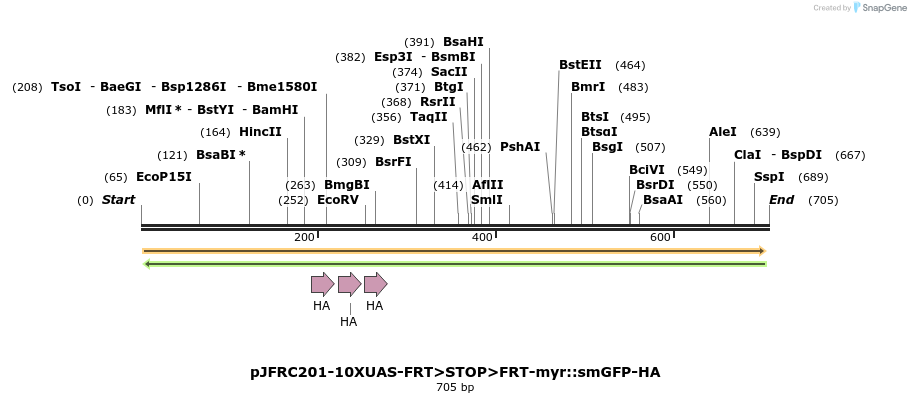 117264_map