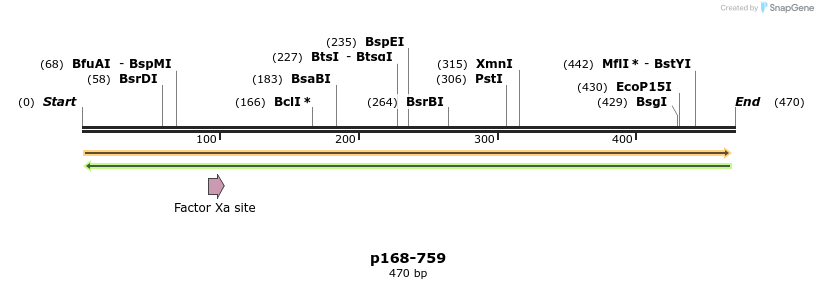 117265_map