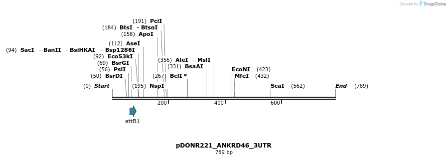 117269_map