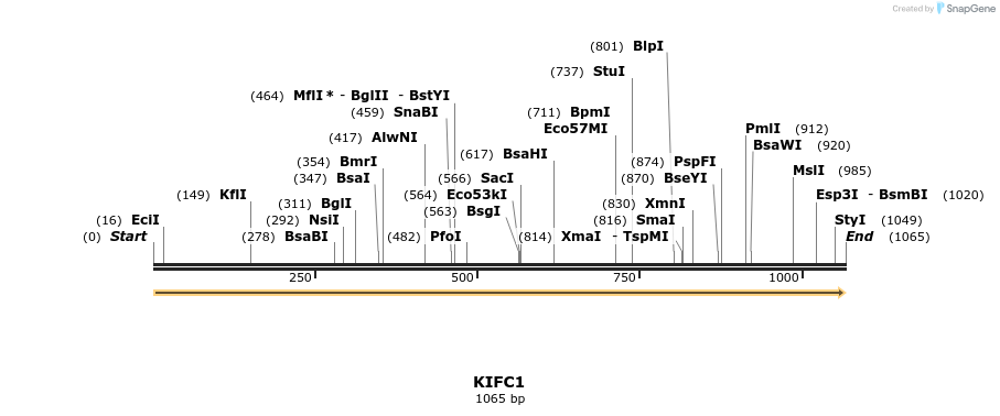 11727_map