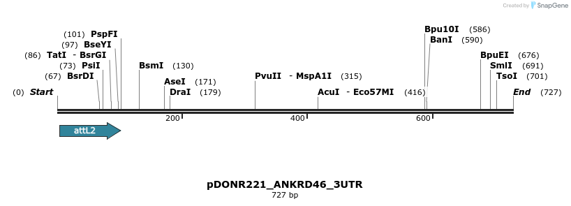 117271_map