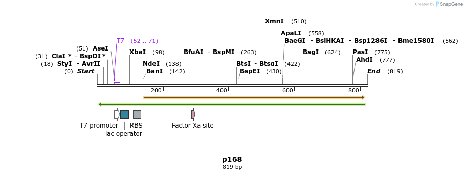 117273_map