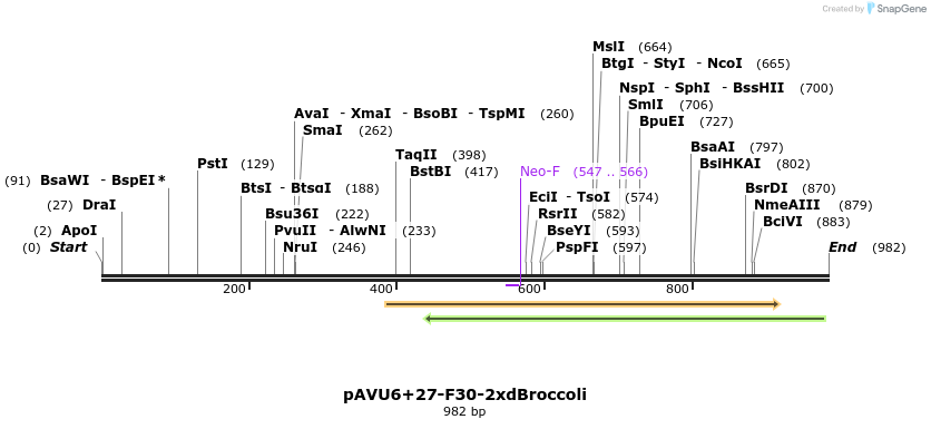 117277_map