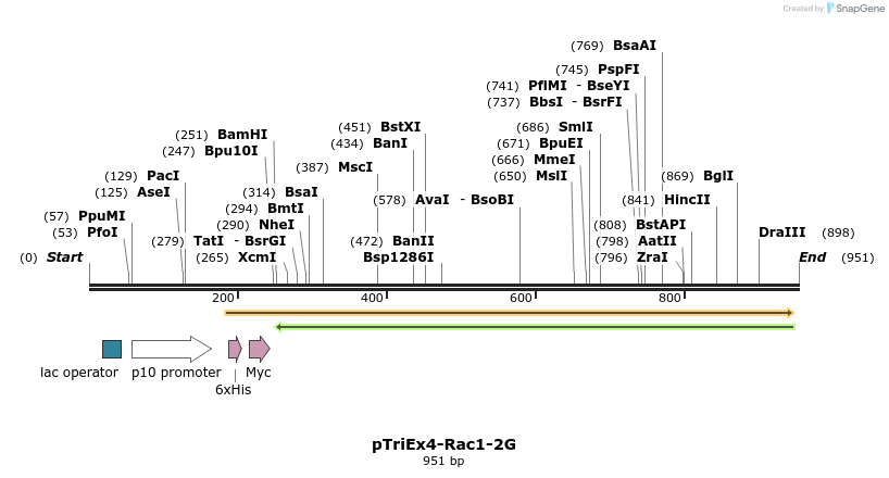 117278_map
