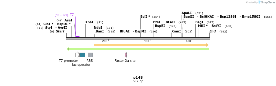 117279_map