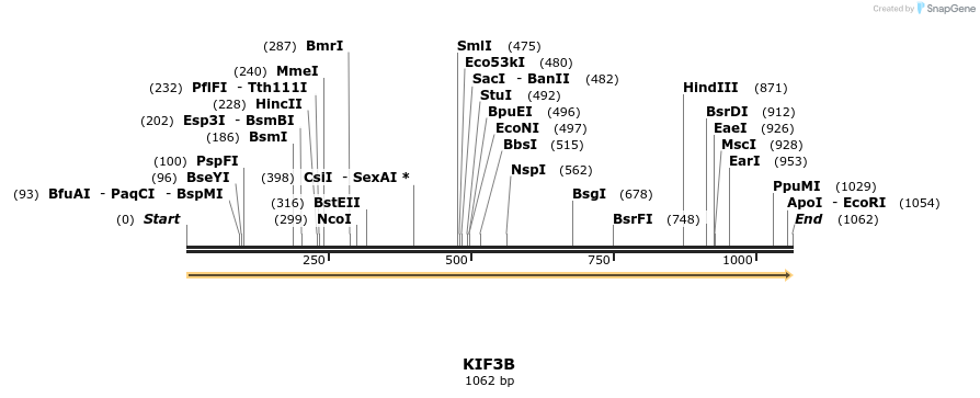 11728_map