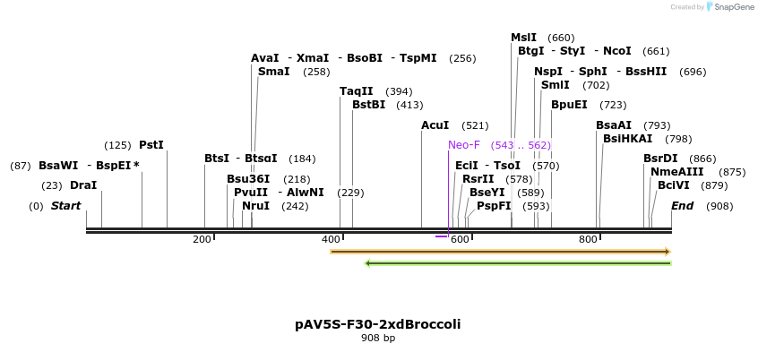 117280_map