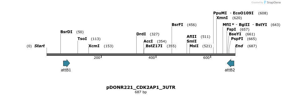 117281_map