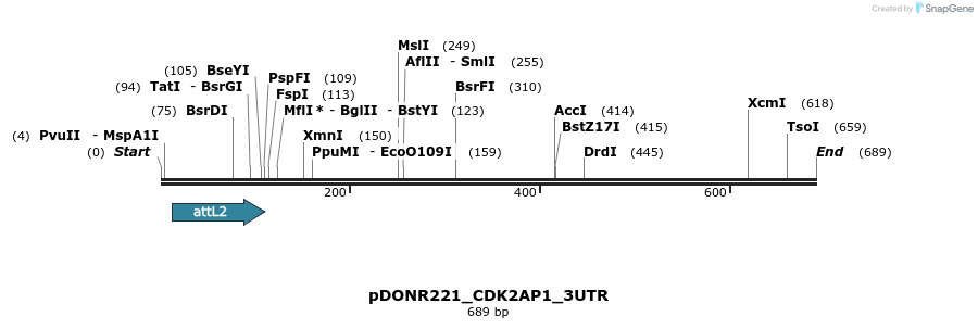 117282_map