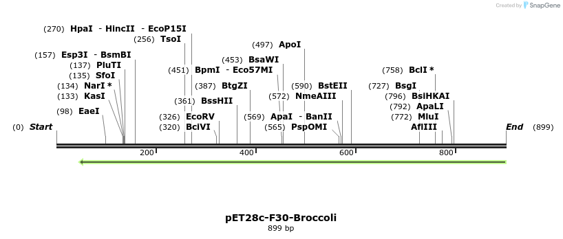 117285_map