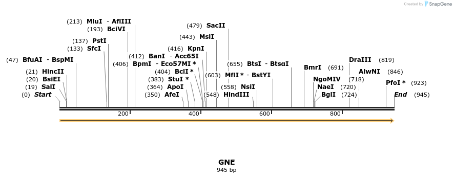 11729_map