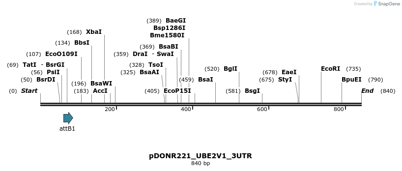 117290_map