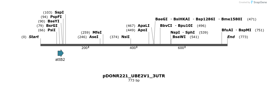 117292_map