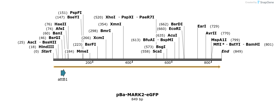 117293_map