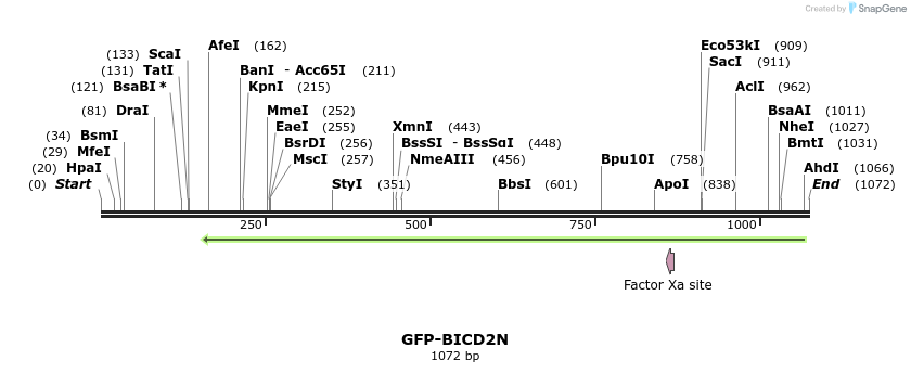 117294_map
