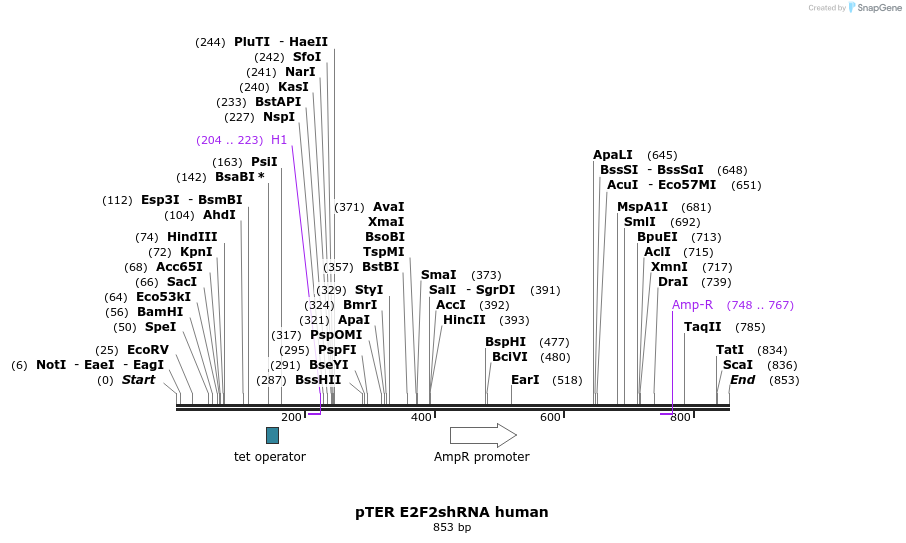 117295_map