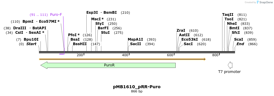 117298_map