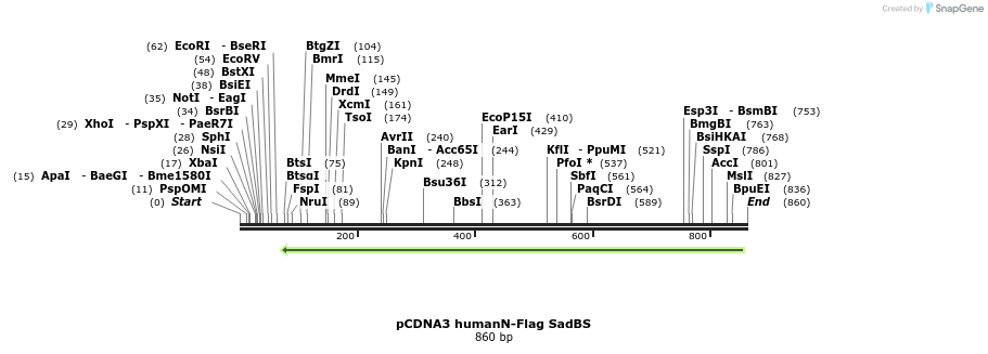 117300_map