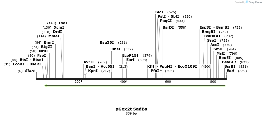 117301_map