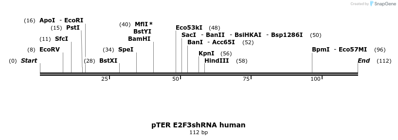 117303_map