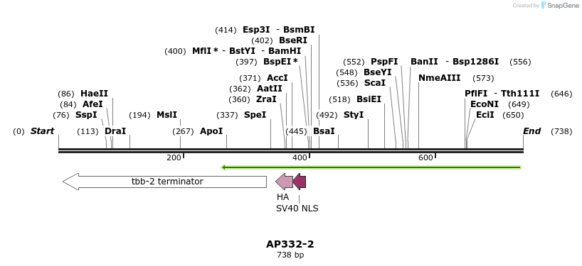 117304_map
